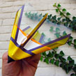 AERO Sport PocketPlane